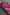 Thumbnail for Pink and red leather trainer featuring a leopard print heel and a textured gum sole in a streamlined silhouette.