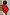 Thumbnail for Red Broderie Mini Lola Dress in cotton with palm embroidery, highlighting inclusive sizing and summer vacation style.