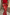 Thumbnail for Red Snake Print Dorris Skirt in a satin-feel viscose featuring a hand-painted white snake pattern.