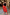 Thumbnail for Red Rosie Maxi Skirt with floral and leopard print on a curve model, showcasing inclusive sizing and feel-good dressing.