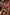 Thumbnail for Mixed Tile Tie Side Brief in an in-house print, paired with a pink and teal beaded shell bikini top for a vacation look.