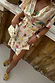 Cream Shell Mini Wrap Dress featuring multicoloured seashell motifs and a wrap tie fastening.