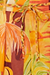 Thumbnail for Verano Tate Shorts detail highlighting the tropical sun and palm print with a braided tie waist belt.