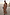 Thumbnail for Brown Star Fawn Aria Mesh Dress with sun, star and palm motifs, flared sleeves and a sheer midaxi silhouette.