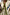 Thumbnail for Close-up of the Butter Yellow Stripe Quilted Jacket with green trim, blue tassels and multiple tie-front fastenings.