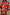 Thumbnail for Multi Stripe Tie Shirt in blue and red cotton with a multi-wear bow, layered under a striped knit vest for a London look.