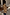 Thumbnail for Tan Trench Coat with gold studs on the sleeve and a waist belt, worn by a model who is 5ft7” and wears size M.