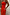 Thumbnail for Red Tomato Lola Mid-axi Dress in cotton with a ruched bodice and strapless bandeau neckline.