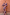 Thumbnail for Chocolate and Blue Sun Toria Dress