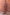 Thumbnail for Chocolate and Blue Sun Toria Dress