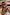 Thumbnail for Leopard print triangle bikini top with blue whipstitch detailing, worn by a model in an outdoor vacation setting.