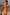 Thumbnail for Yellow Tort Wiggle Arm Sunglasses with light yellow tortoise frames and blue lenses, paired with a colourful print dress.