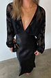 Black Swallow Romance Emma Dress with a sheer v-neck top and satin skirt featuring a velvet swallow print.