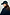 Thumbnail for Navy Tartan NFD Cap in blue and green with a red embroidered logo, styled with a pinstripe blazer.
