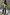 Thumbnail for Khaki green wide-leg trousers with a gold shell print, styled as a co-ord with a matching shirt.