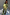 Thumbnail for Khaki Shell Trousers with a gold shell print, wide-leg fit and elasticated waist, styled as a co-ord set.