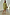 Thumbnail for Khaki Eye Mini Soho Dress Petite in green with an iconic eye print, flared sleeves and an hourglass silhouette.