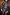 Thumbnail for Night Garden Ski Suit featuring a patchwork of leopard, poppy and bandana motifs with a belted waist and high neck.