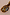 Thumbnail for Yellow Tort Wiggle Arm Sunglasses with a wavy tortoise shell frame and signature white branding.