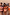 Thumbnail for Orange Sun High Waist Bikini Briefs with iconic sun motifs, shown on three models to celebrate inclusive sizing.