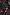Thumbnail for Close-up of the Black Animal Verity Top showcasing pink, red, and green leopard print on a black background.