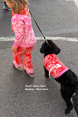 Red and Pink Bandana Dog Jumper in a soft knit on a black dog, with sizing info and a matching iconic kids' outfit.