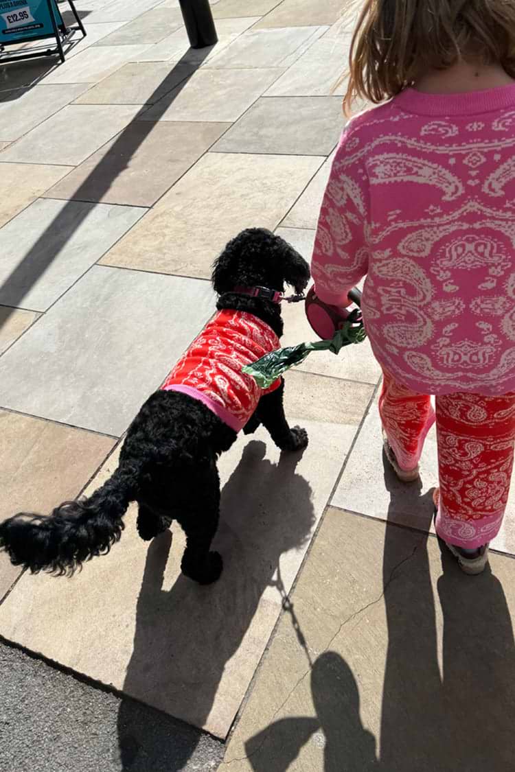 Red and Pink Bandana Dog Jumper on a black dog, styled with matching kids bandana print knitwear for a London look.