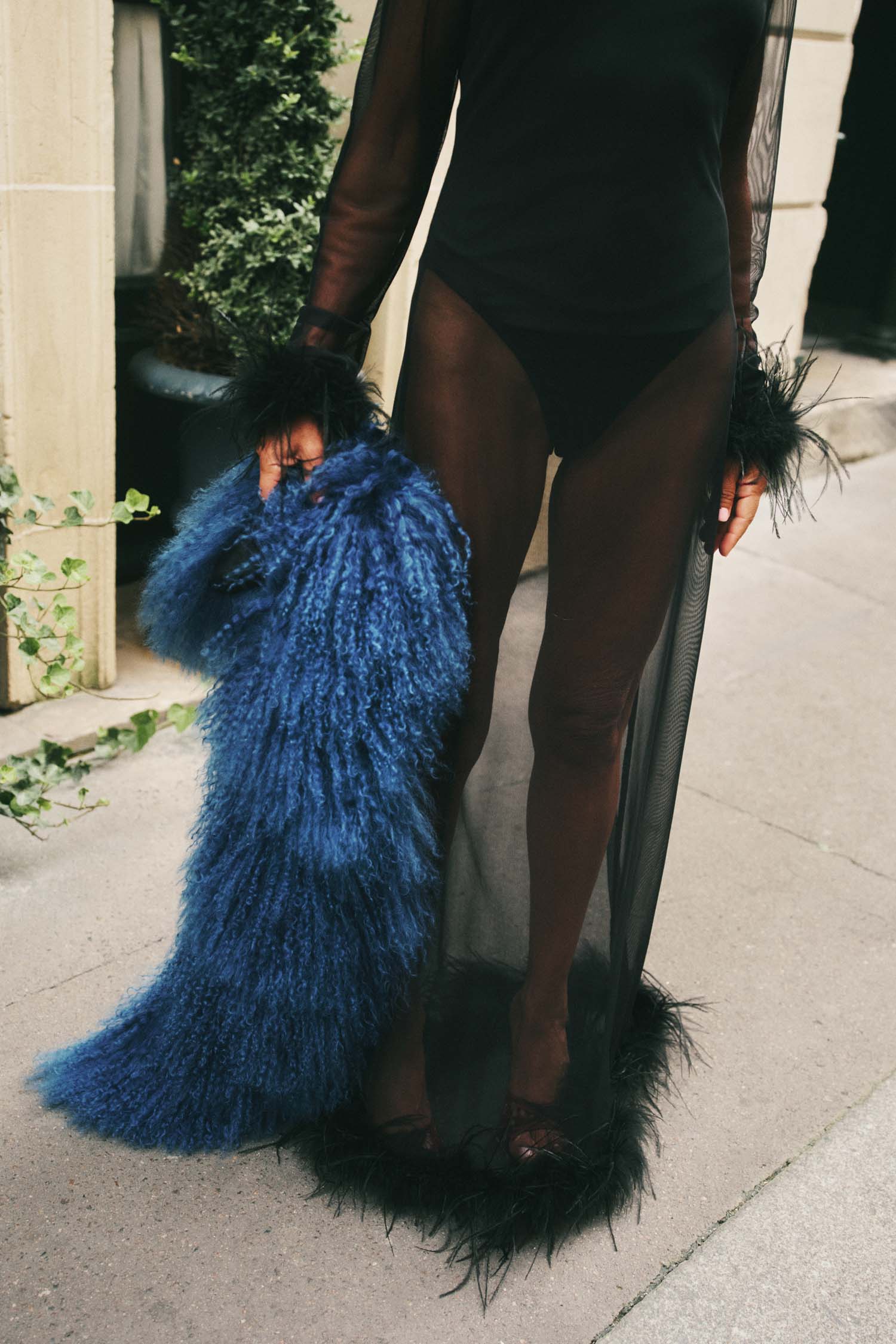 Black Feather Mesh Dress