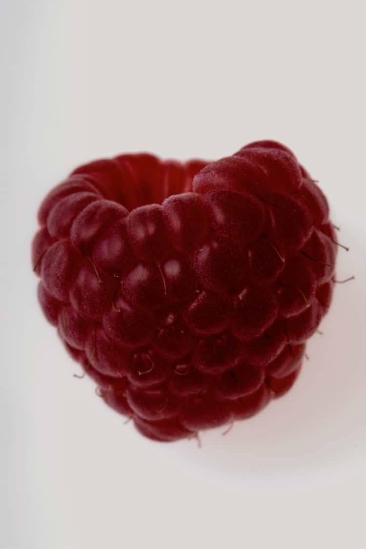 Vibrant dark red raspberry close-up, representing the top scent note of the NFD Eau De Parfum Candle 002.