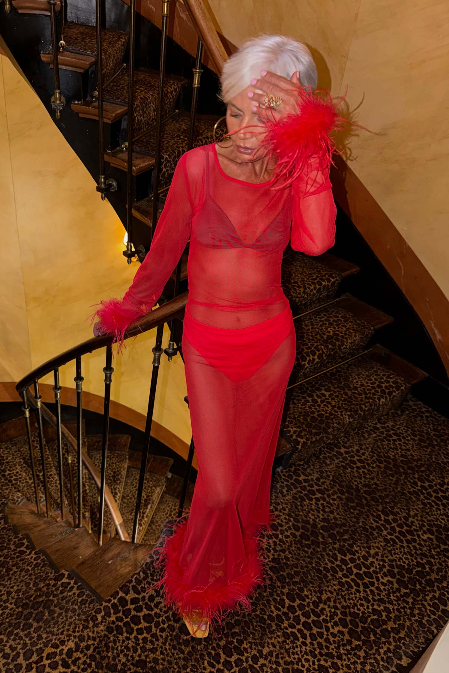 Red Feather Mesh Dress