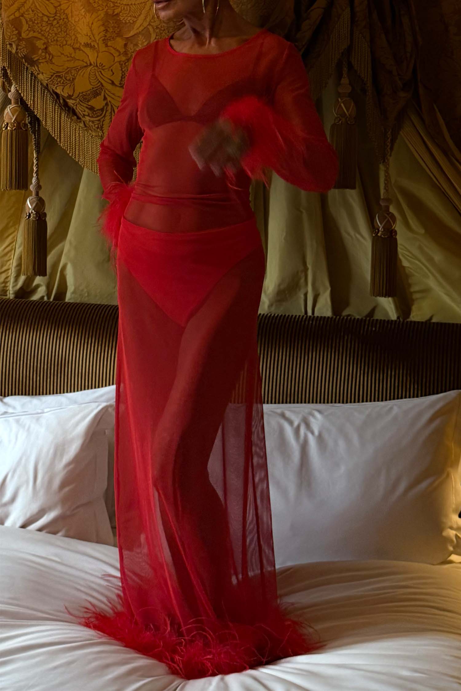 Red Feather Mesh Dress
