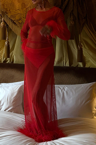Red Feather Mesh Dress