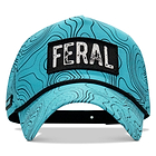 TEAL TOPOGRAPHY