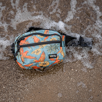 Fanny Dump Pack V3