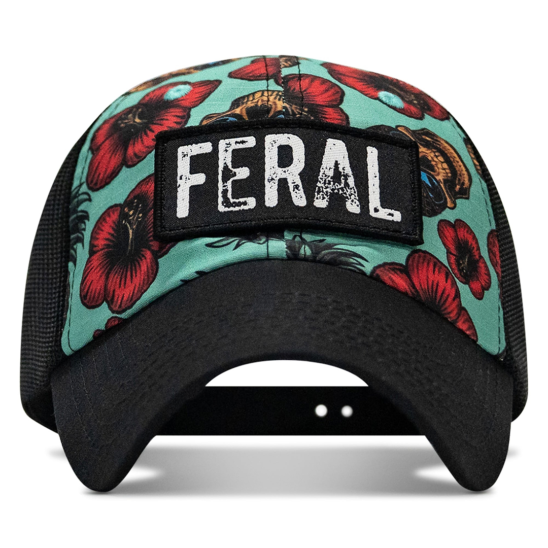 #color_teal-pineapple-express