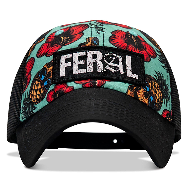 #color_teal-pineapple-express