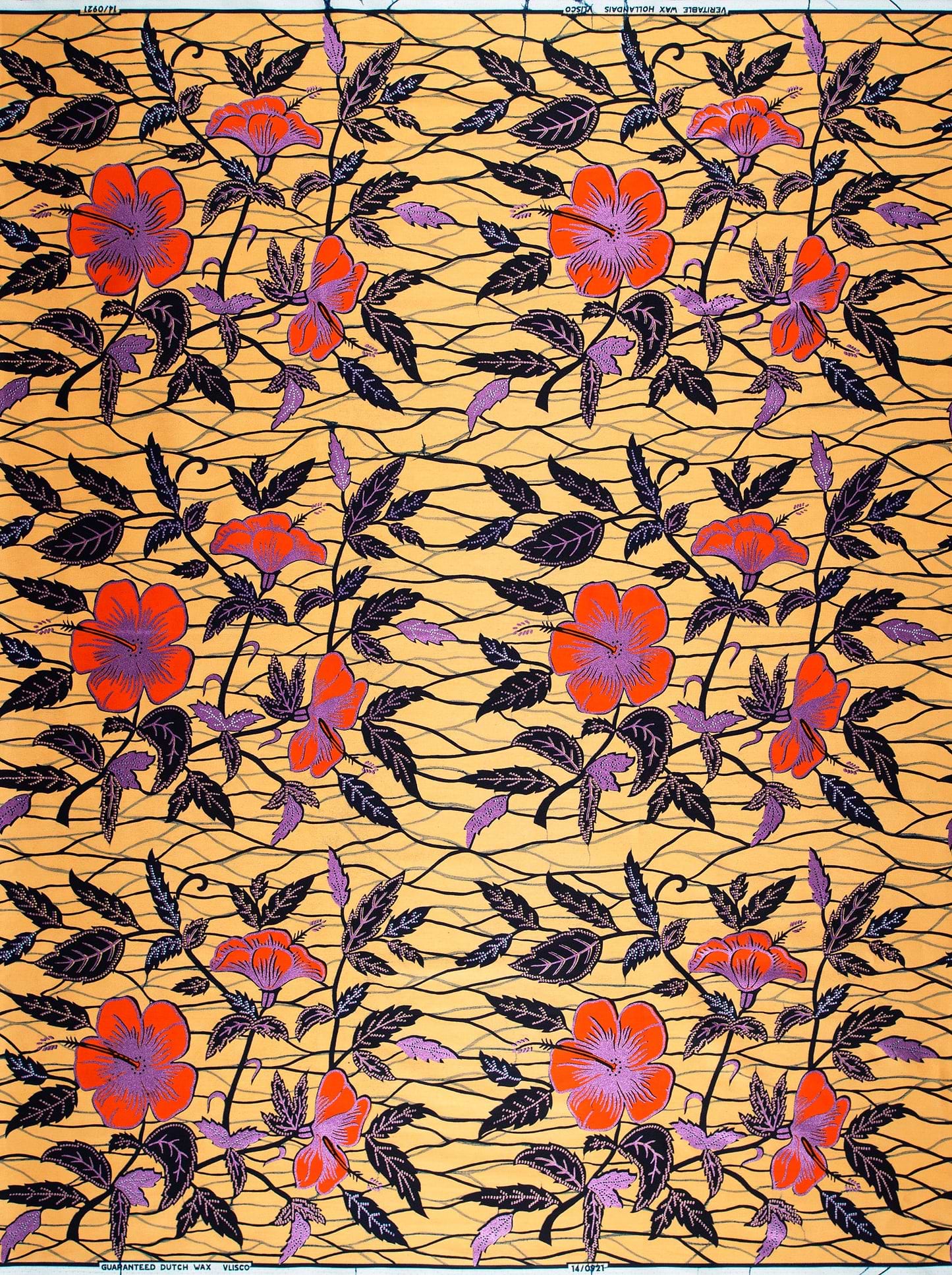 Vibrant orange purple hibiscus flowers wax hollandais vl00921.282
