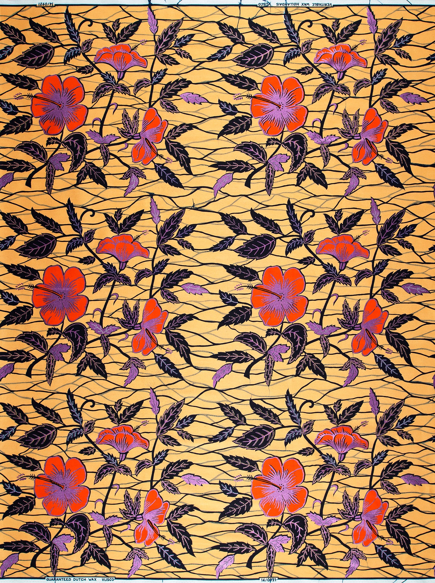 Vibrant orange purple hibiscus flowers wax hollandais vl00921.282
