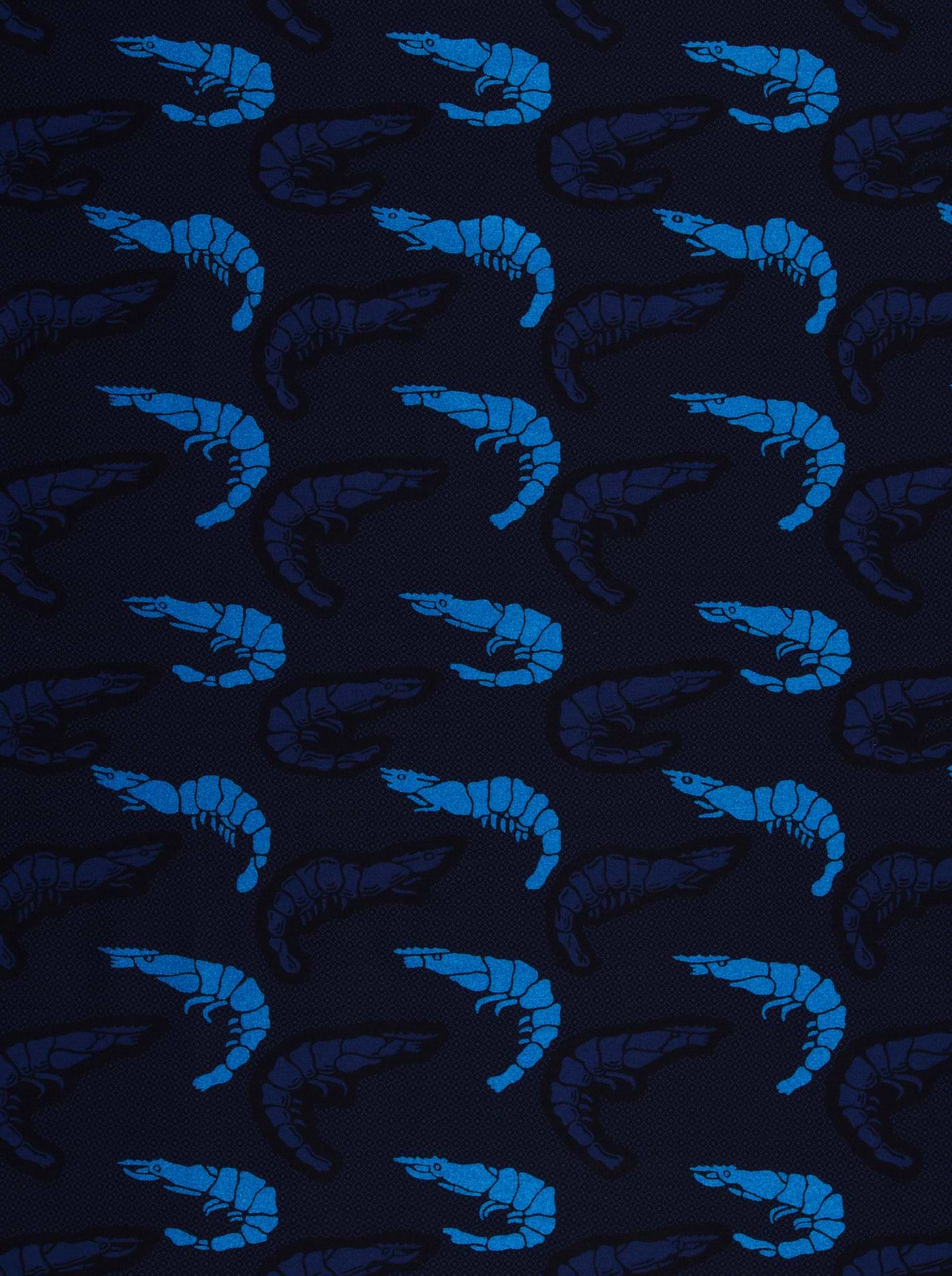 Sky Wax | VL01149.154 | Royal Blue Embellished