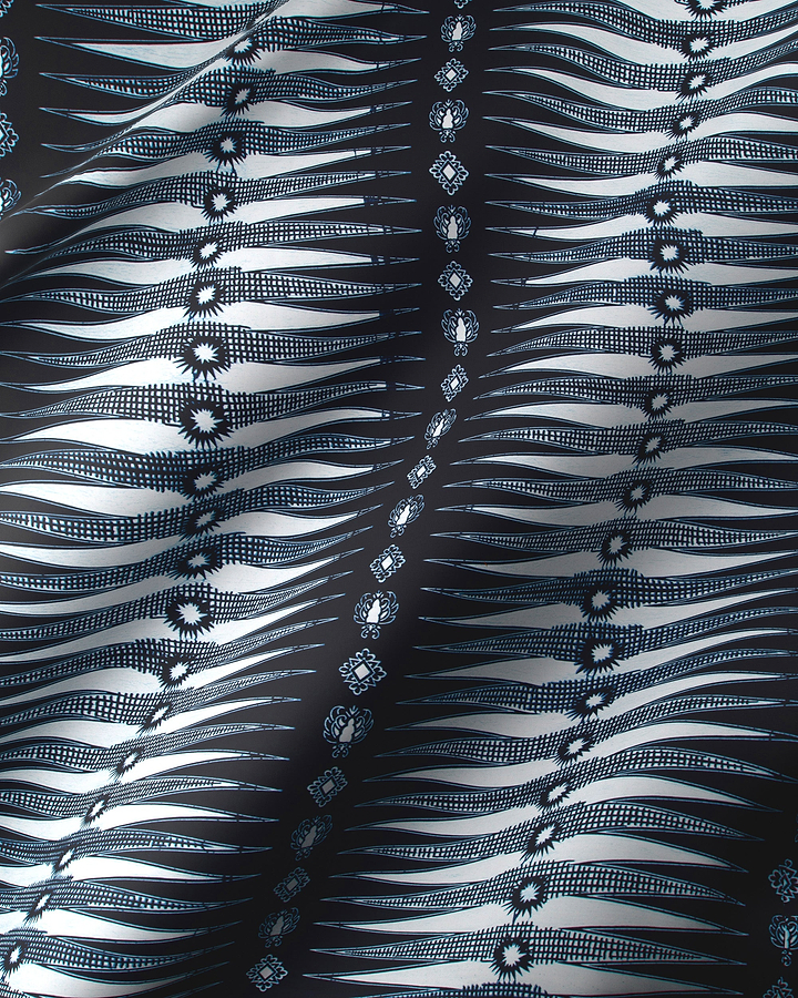 Wax Poplin | VL01178.309 | Flash