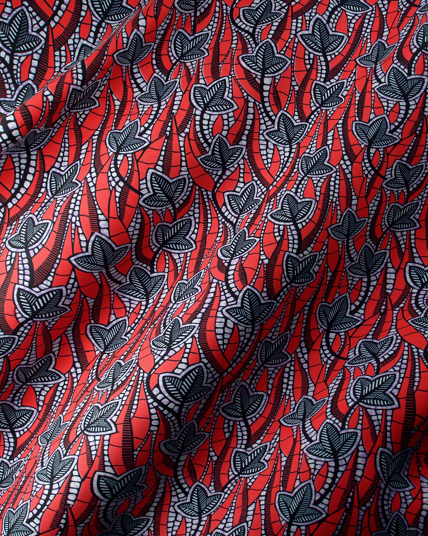 Wax Hollandais | VL03182.006