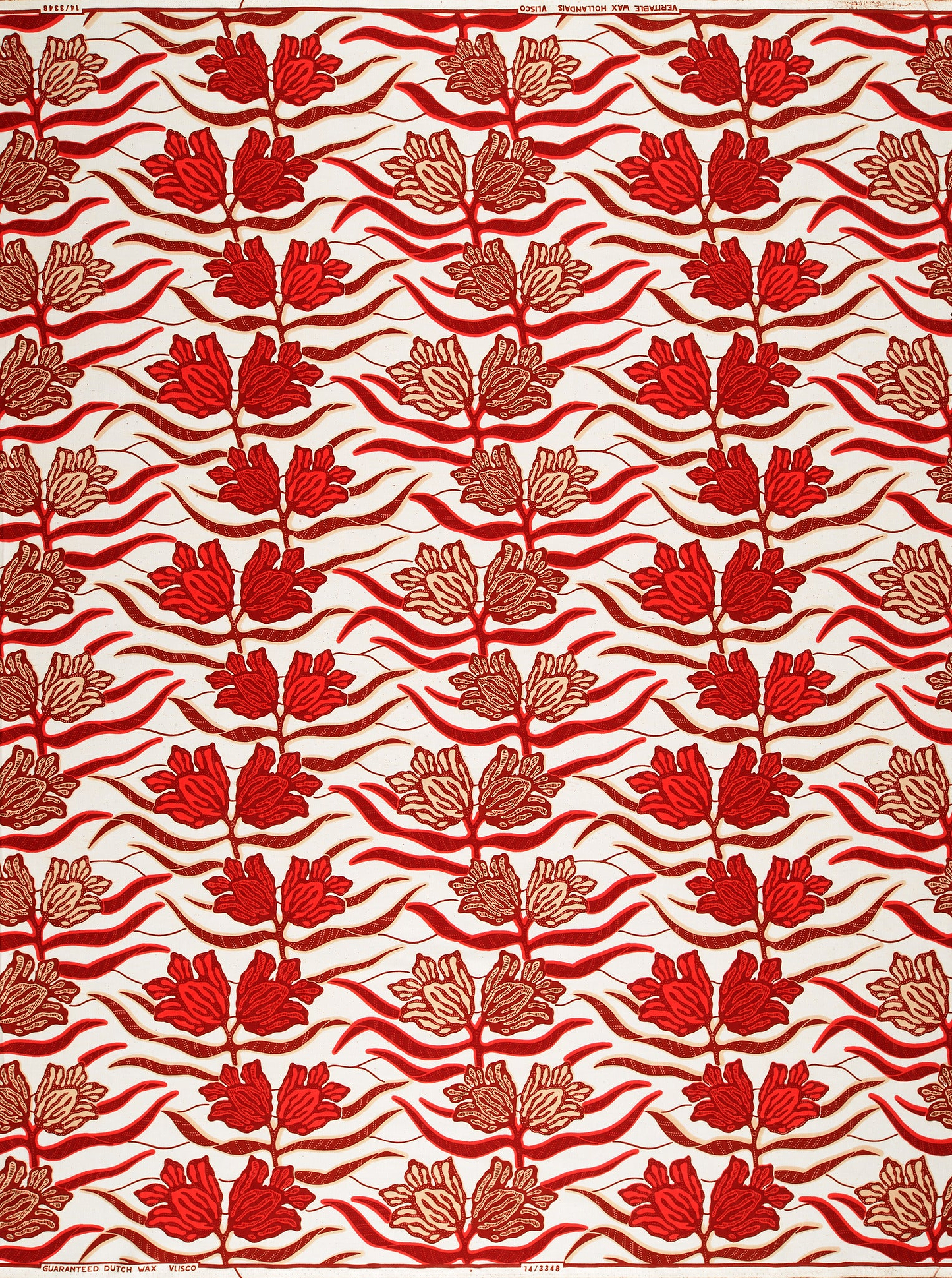 Wax Hollandais | VL03348.001