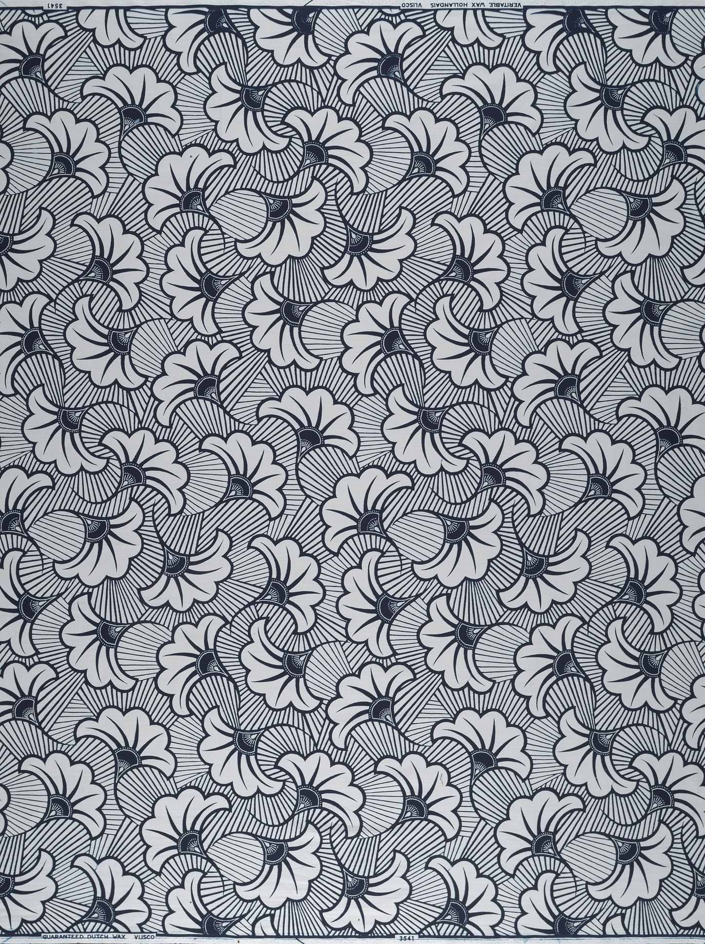 Wax Poplin | VL03541.316 | Rolls Royce