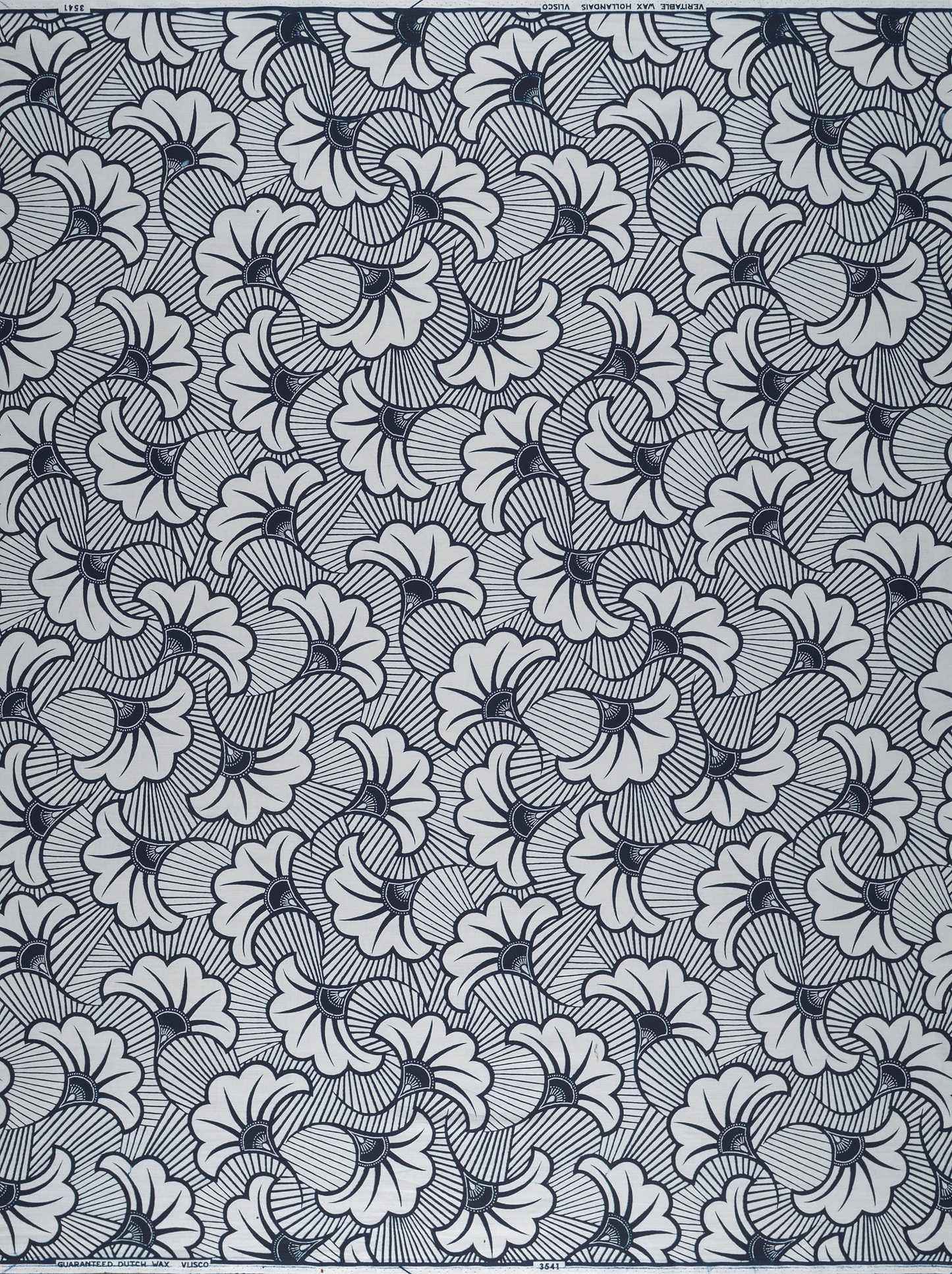 Wax Poplin | VL03541.316 | Rolls Royce