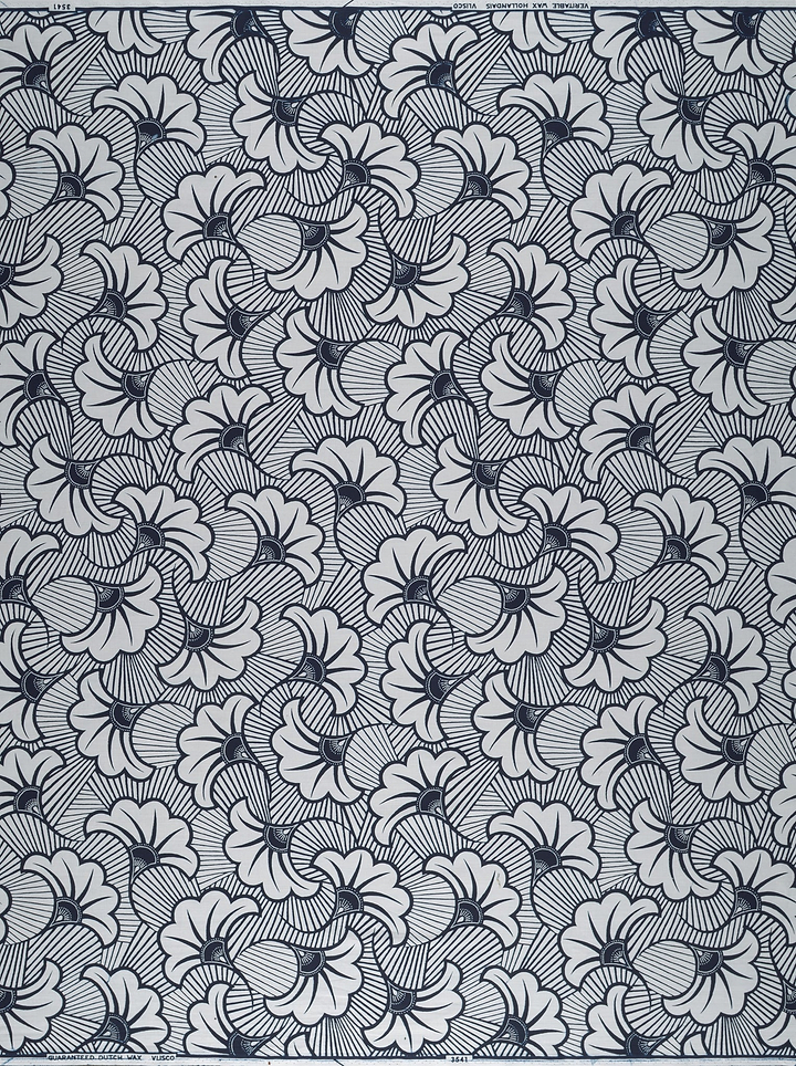Wax Poplin | VL03541.316 | Rolls Royce