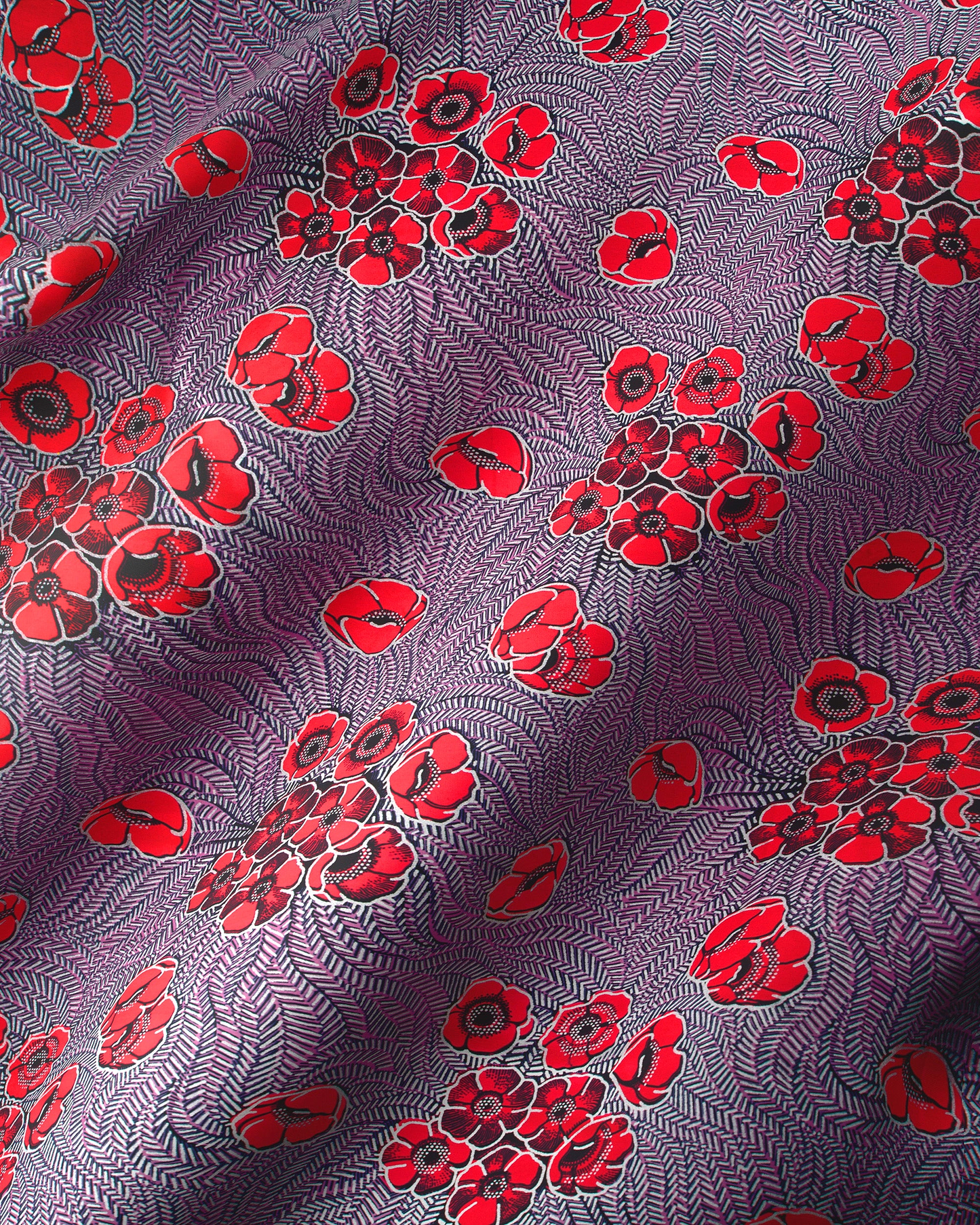 Vibrant red poppy flowers black wax hollandais vl08621.019