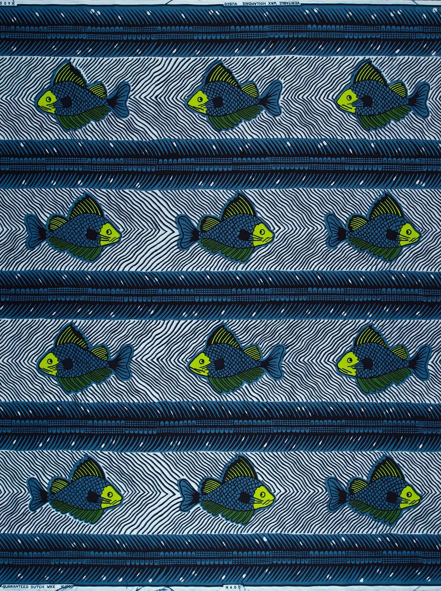 Wax Hollandais | VL0H600.066 | Poisson sec