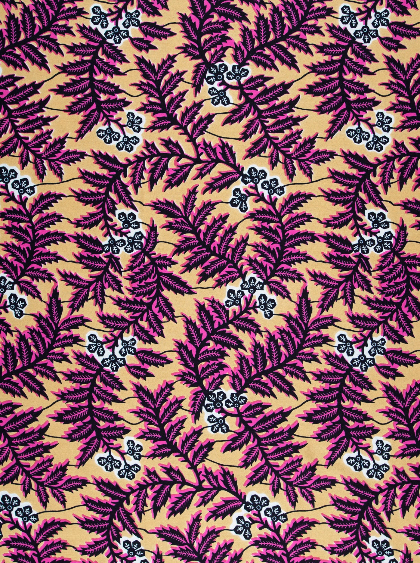 Vibrant pink deep purple ferns wax hollandais vl0h877.010