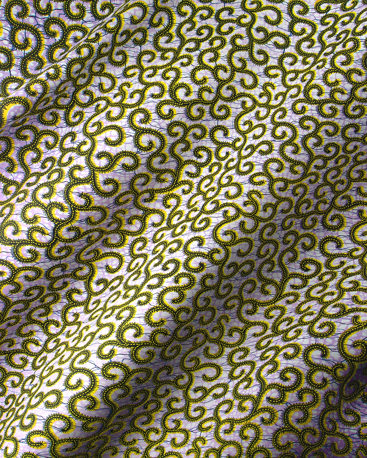 Vibrant yellow black patterns adorn wax hollandais vl0h907.239