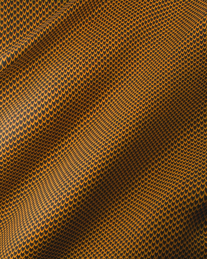 Wax Hollandais | VL49600.036 | Finger nail, Fish scale